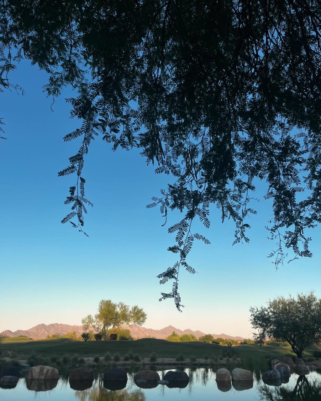 [User Conference] UX Research&nbsp;Report